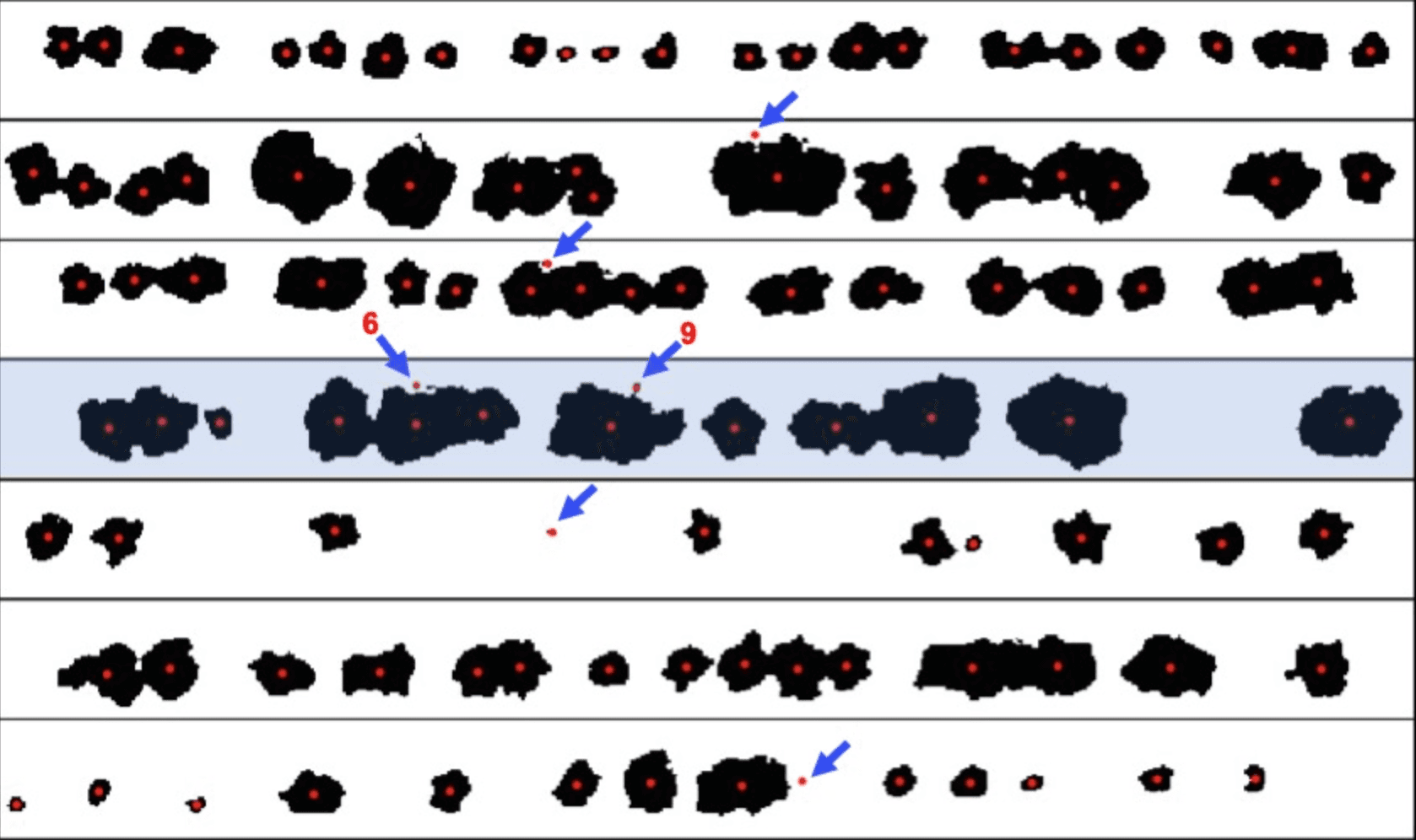 Processed stand count analysis showing individual plant detection