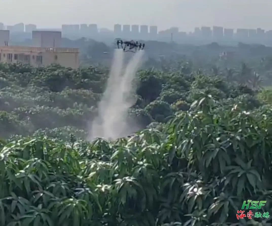 Precision Agriculture for Elgin County: Boost Your Yields with SkyFlow Drone Services