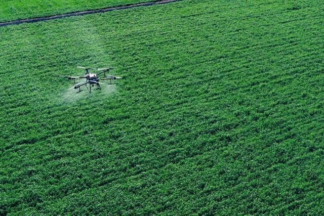 Revolutionizing Agriculture in Lambton County: Precision Drone Spraying with SkyFlow