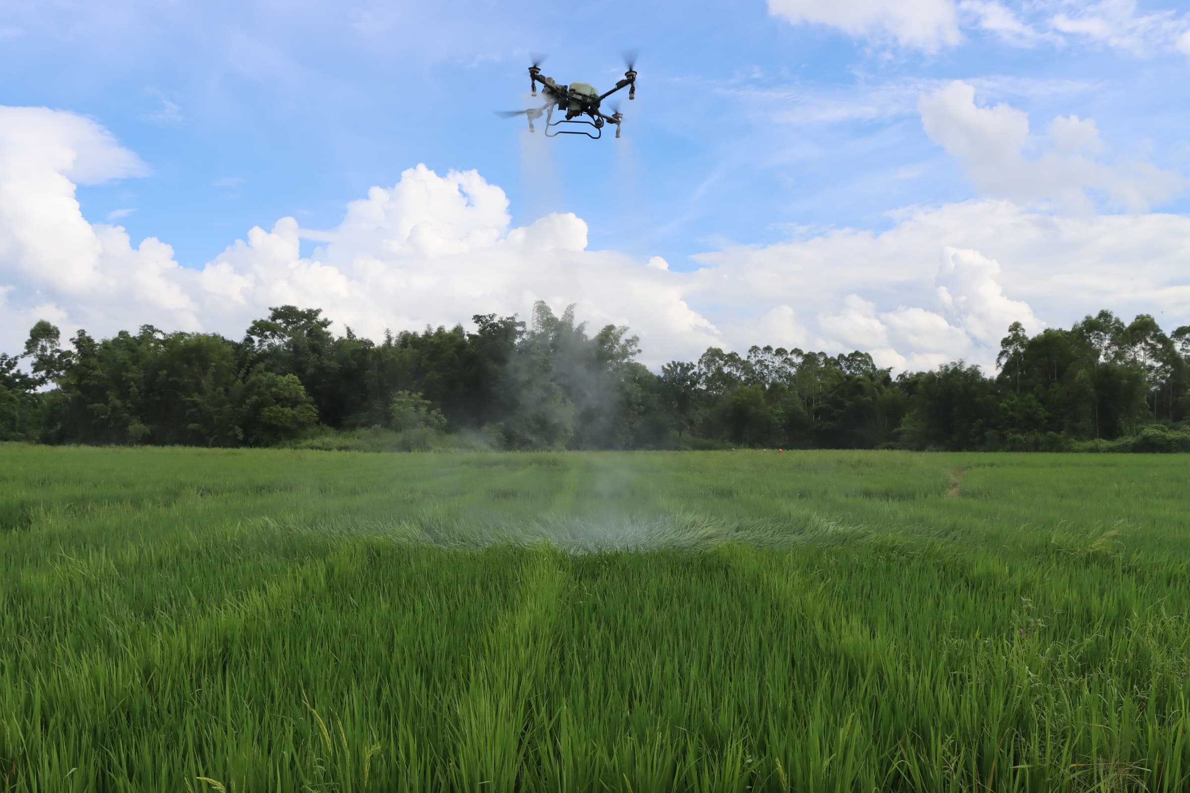 Precision Agriculture in Middlesex County, Ontario: Boost Your Yields with SkyFlow Drone Services