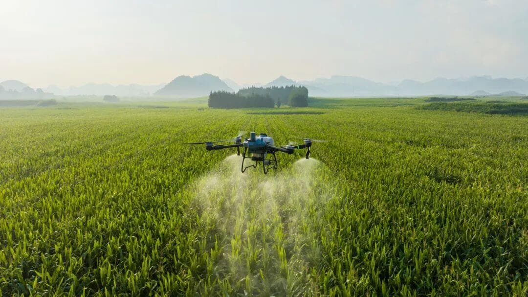 Revolutionizing Agriculture in Perth County with Precision Drone Spraying