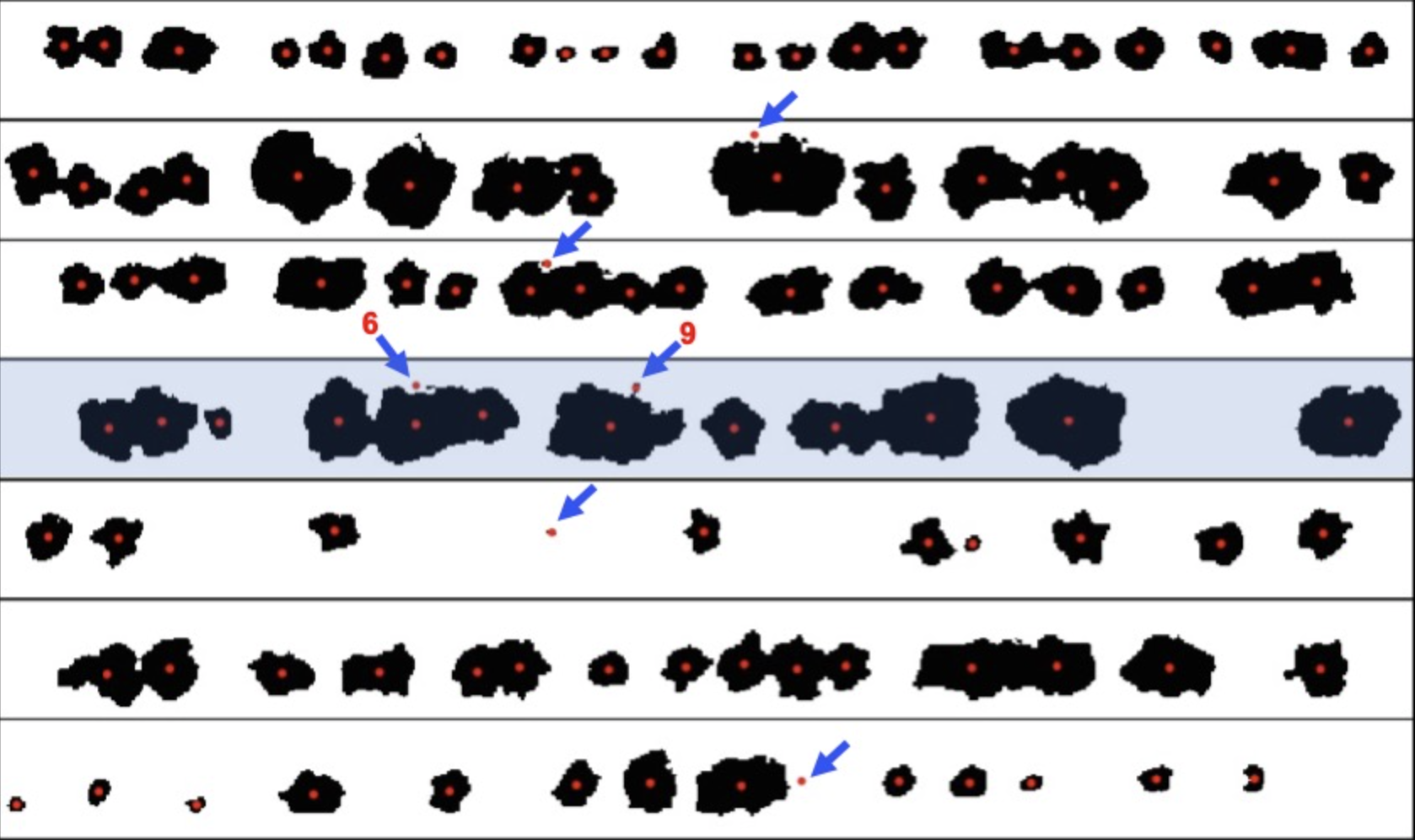 Processed stand count analysis showing individual plant detection
